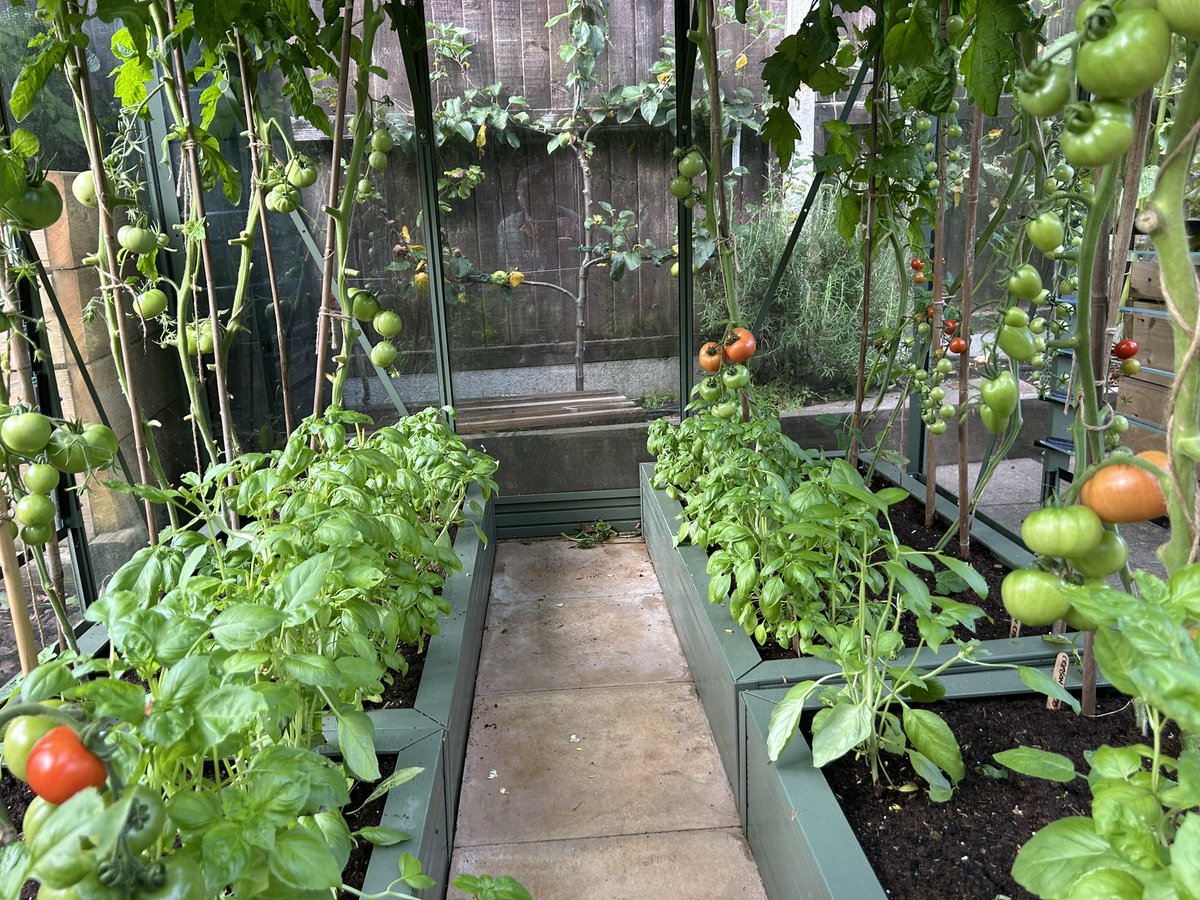 jones_mog's tweet image. Kitchen garden is now in full on mode