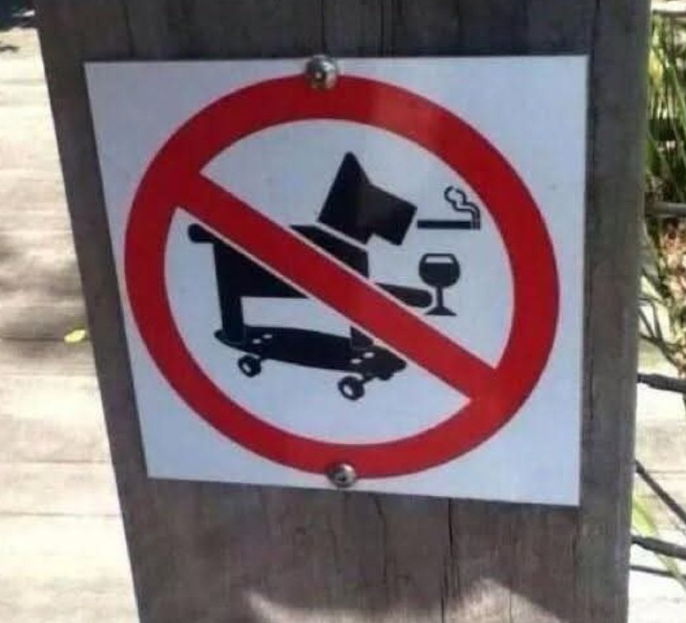 No fun for Fido. What's a dog to do?