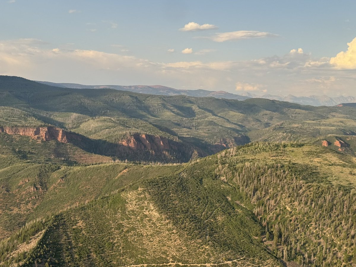 mtlawton's tweet image. Scenes from my recent road trip to Nashville and Aspen…