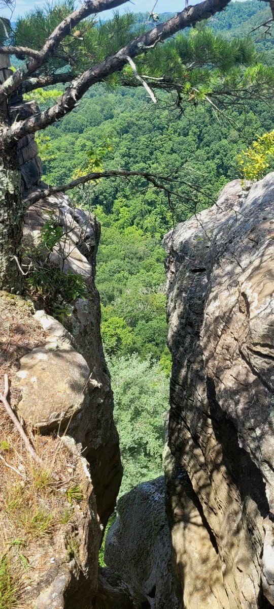 longhunter09's tweet image. Chimney Top Rock Trail, Red River Gorge, Daniel Boone National Forest