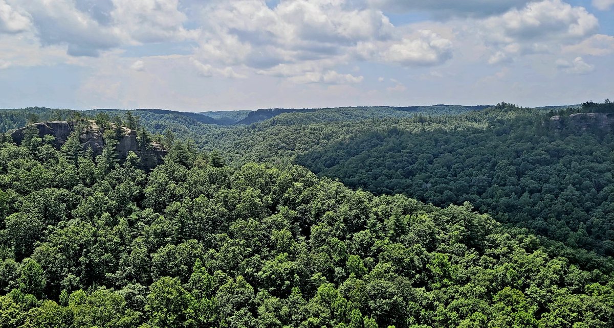 longhunter09's tweet image. Chimney Top Rock Trail, Red River Gorge, Daniel Boone National Forest