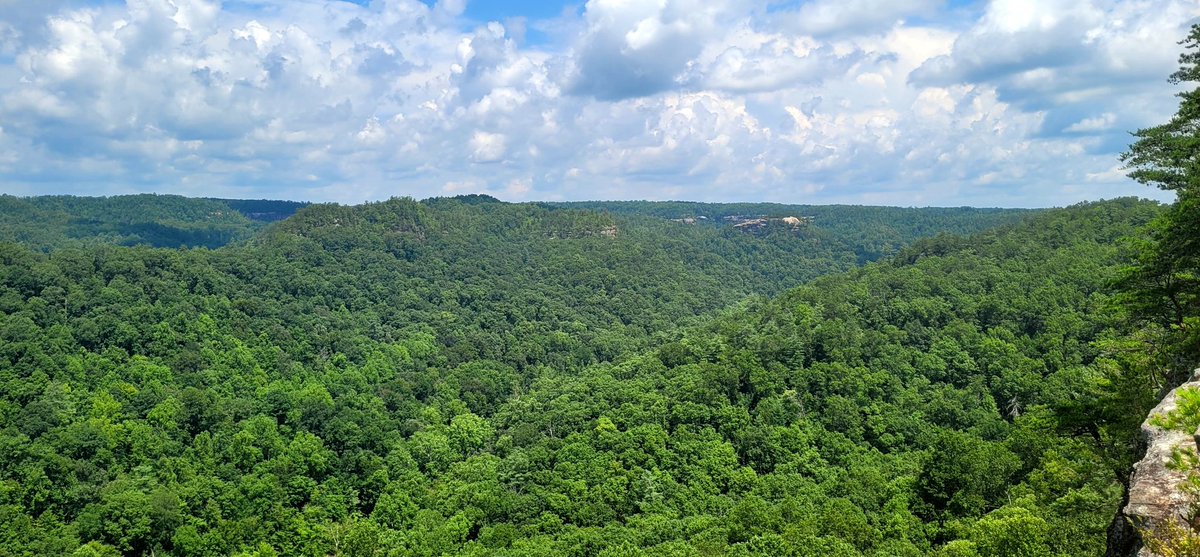 longhunter09's tweet image. Chimney Top Rock Trail, Red River Gorge, Daniel Boone National Forest