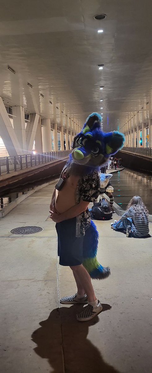 RiggyFolf's tweet image. Waterfront Folf X3

📸@MillerRetriever