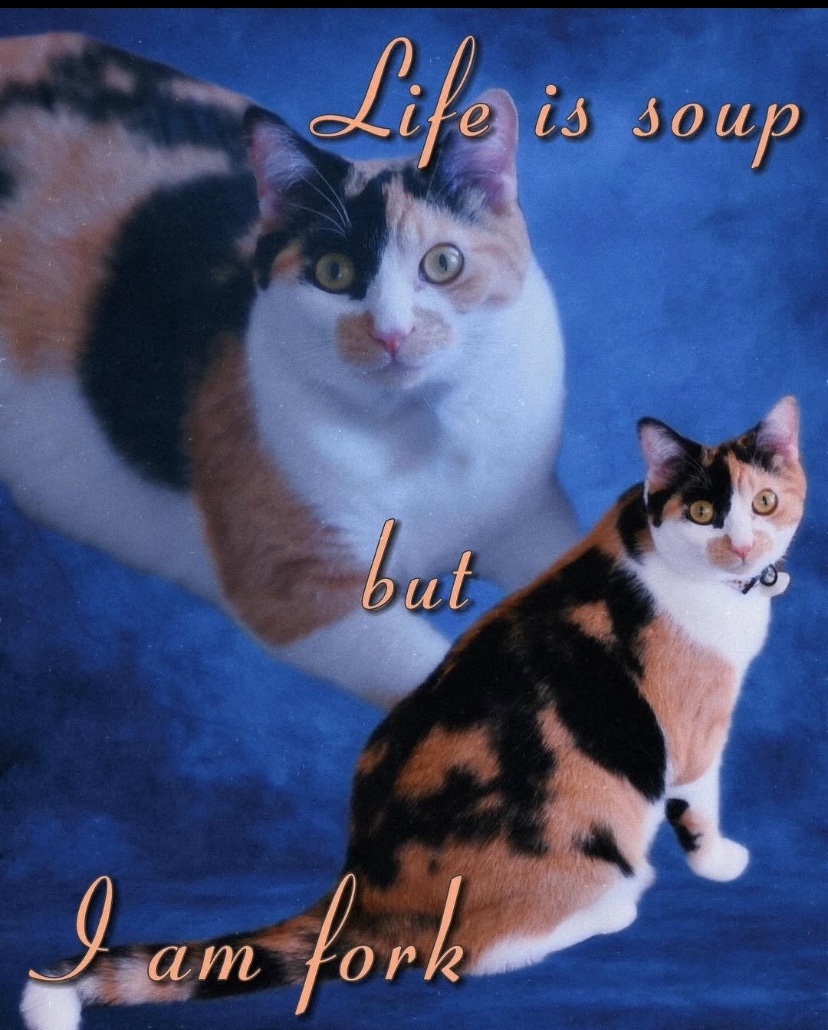 alternatively, I am soup life is fork