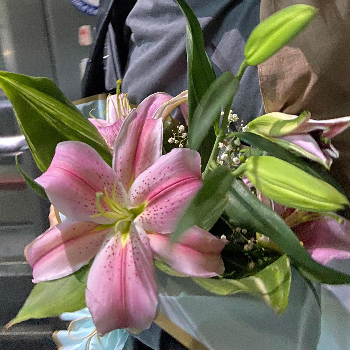 allahım teşekkür ederim zambaklar için