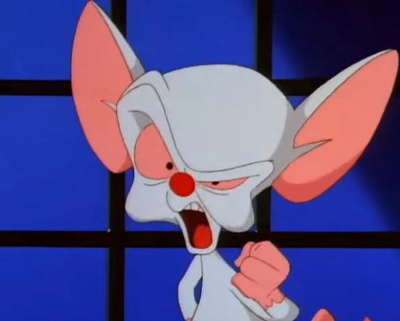 poitcast's tweet image. “i asked chatgpt” “i asked grok” yeah well i asked The Brain and he said “ the same thing we do every night Pinky, try to take over the world!”