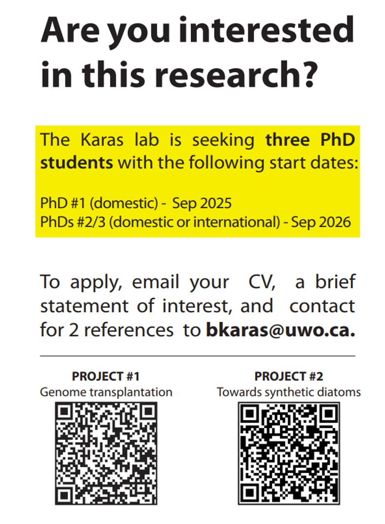 KarasLab's tweet image. 