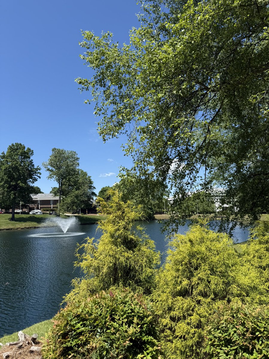 TJ Wharton tweet media