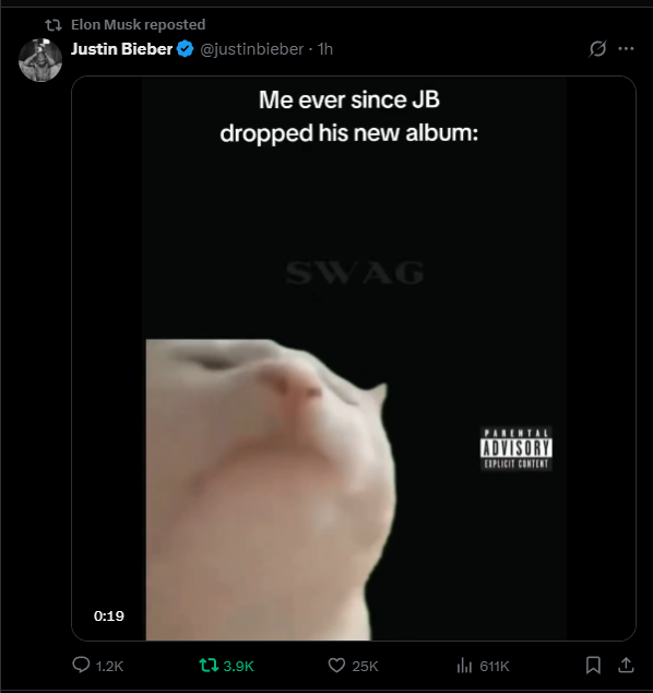 Vibe check: Elon is a certified diamond paw💎🐈