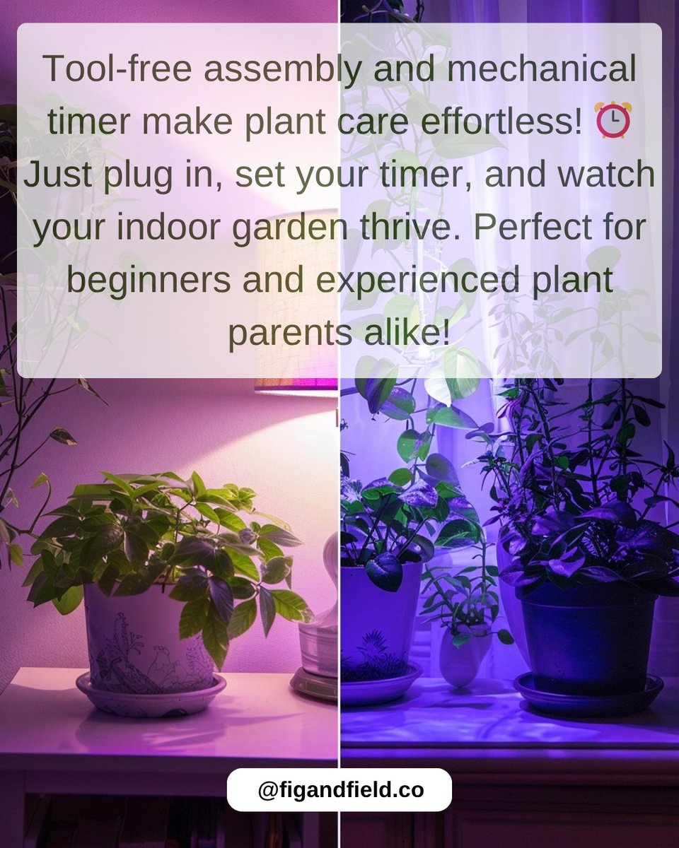 figandfield's tweet photo. 🌱 GAME CHANGER for indoor plant lovers!The Barrina T10 Pro Standing Grow Light is everything I didn’t know I needed for my plant family!

#ad #affiliate

Find it here - https://t.co/ehdzf7Ym0i

#GrowLights #IndoorPlants #PlantCare #FullSpectrum #LEDGrow https://t.co/JuE74EHadY