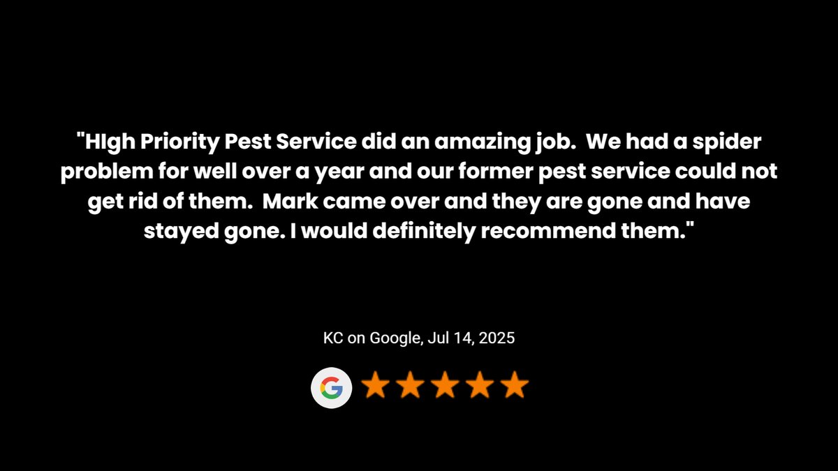 HighPriorityPest (@hppestservices) on Twitter photo 