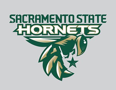 I am blessed and extremely  happy to receive an offer from head coach <a href="/BrennanMarion4/">Coach Marion</a>  and Sacramento State Univ. Let's Goooooo!!! 🐝🐝🐝<a href="/SkysTheLimitWR/">Margin Hooks</a> <a href="/BSublet/">BSUB</a> <a href="/BMFMoats/">Coach Moats</a> <a href="/FriarFootball/">Bishop Lynch Football</a> <a href="/CoachMillerick/">gregorymillerick</a> 
<a href="/Rivals_HS/">Rivals High School</a> <a href="/ChadSimmons_/">ChadSimmons</a> <a href="/TomLoy247/">Tom Loy</a> <a href="/adamgorney/">Adam Gorney</a> <a href="/SWiltfong_/">Steve Wiltfong</a> <a href="/On3sports/">On3</a>