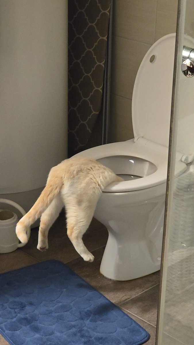 Self Proclaimed Degenerate tweet media