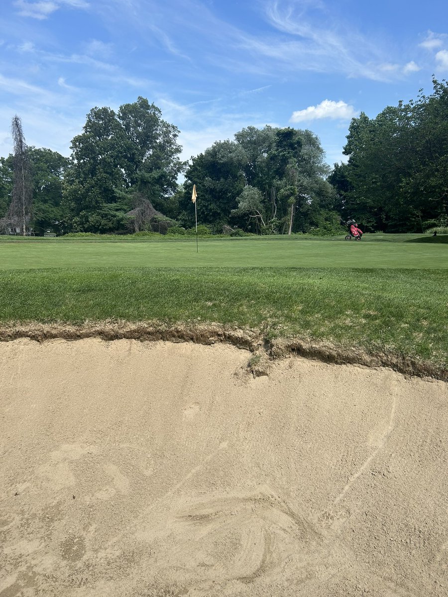 New York Golfer tweet media