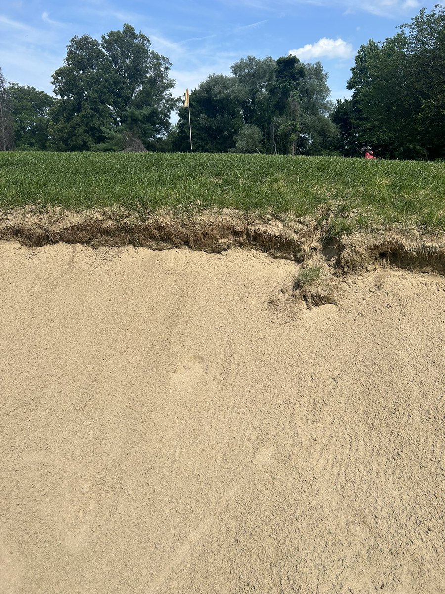 New York Golfer tweet media