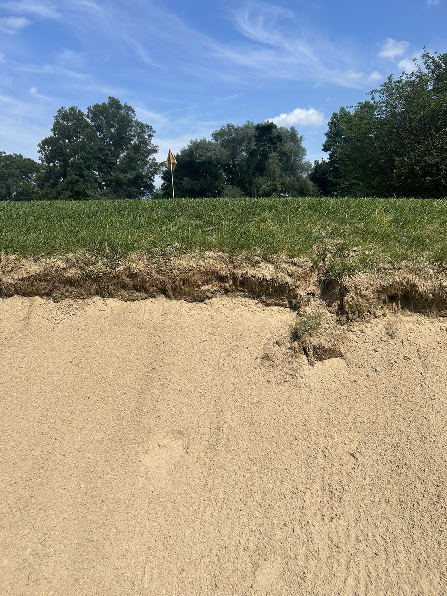 New York Golfer tweet media