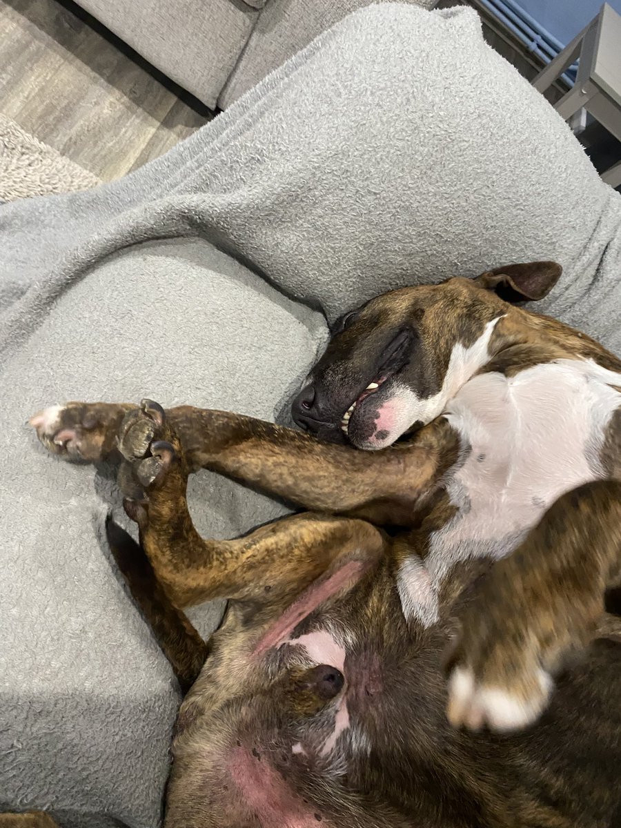 Yer I’m we’ll comfy