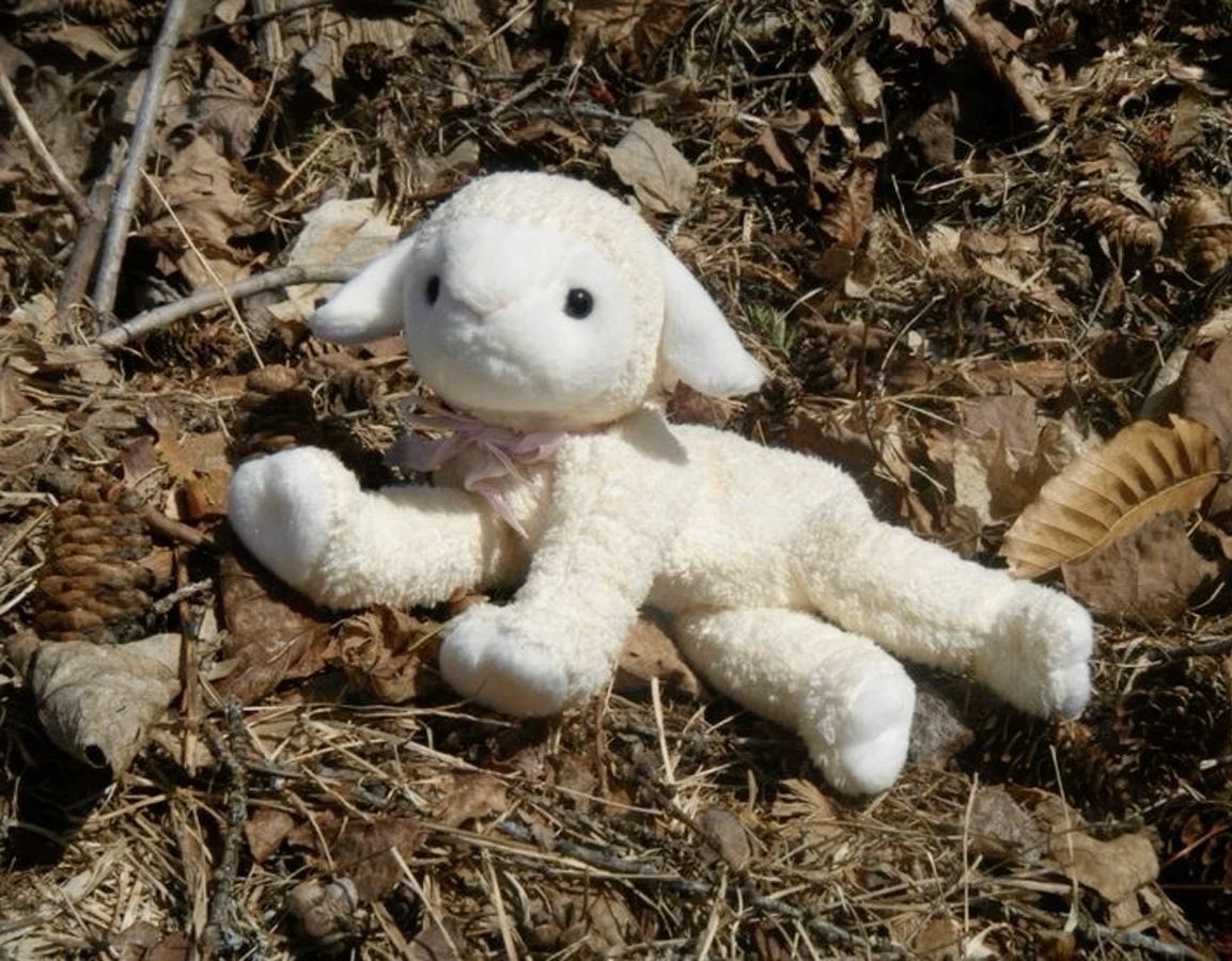 lambning's tweet image. 