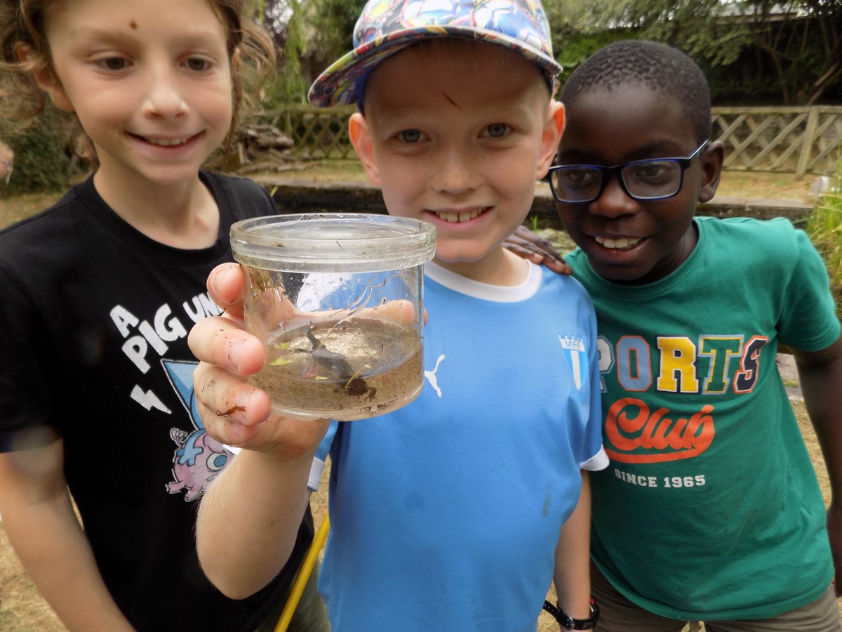 ESJ_Primary's tweet photo. Another action packed day on the Year 4 residential at Burwell House. Pond dipping, fire starting, enamelling, hammer and nail art, The Great Eggscape, an after dinner quiz, and games on the lawn. Night night! https://t.co/5hQDxpmQvZ