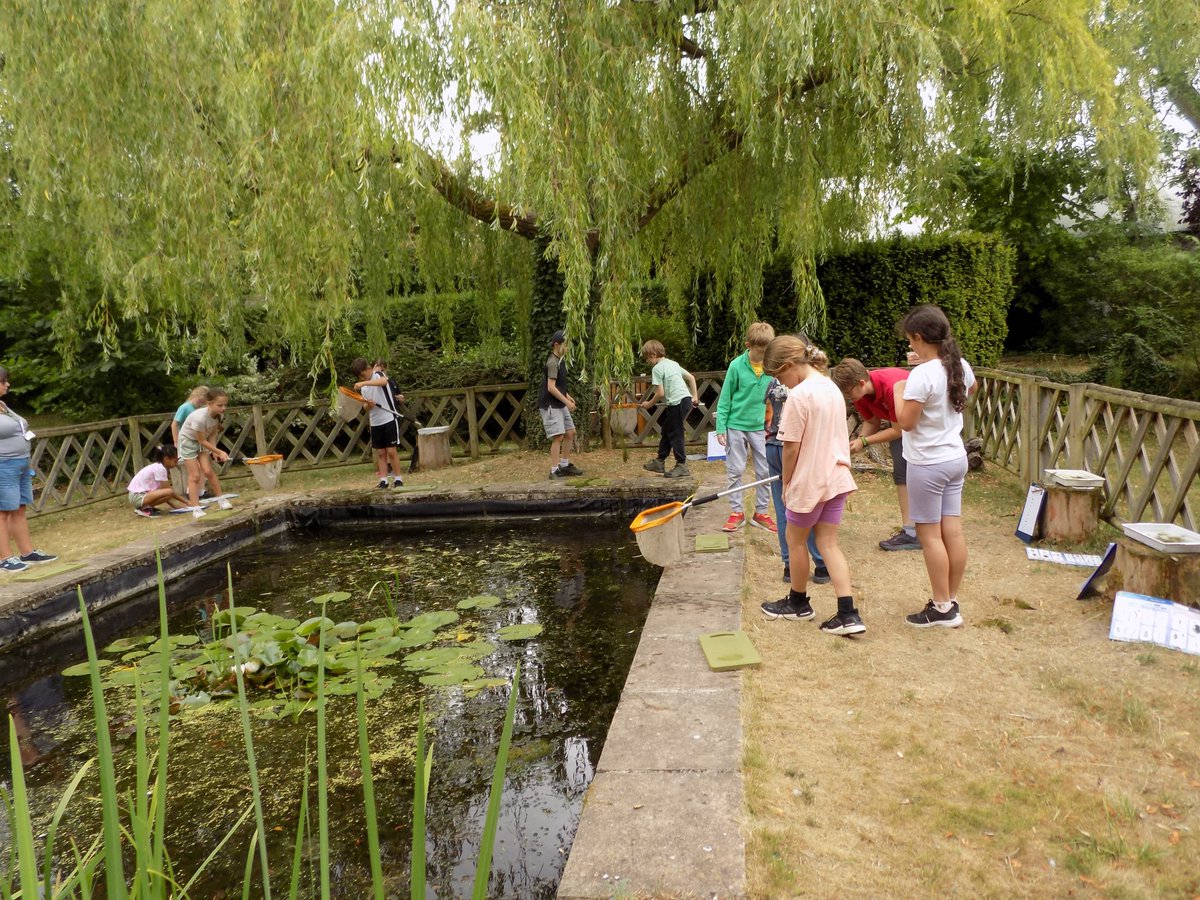 ESJ_Primary's tweet photo. Another action packed day on the Year 4 residential at Burwell House. Pond dipping, fire starting, enamelling, hammer and nail art, The Great Eggscape, an after dinner quiz, and games on the lawn. Night night! https://t.co/5hQDxpmQvZ