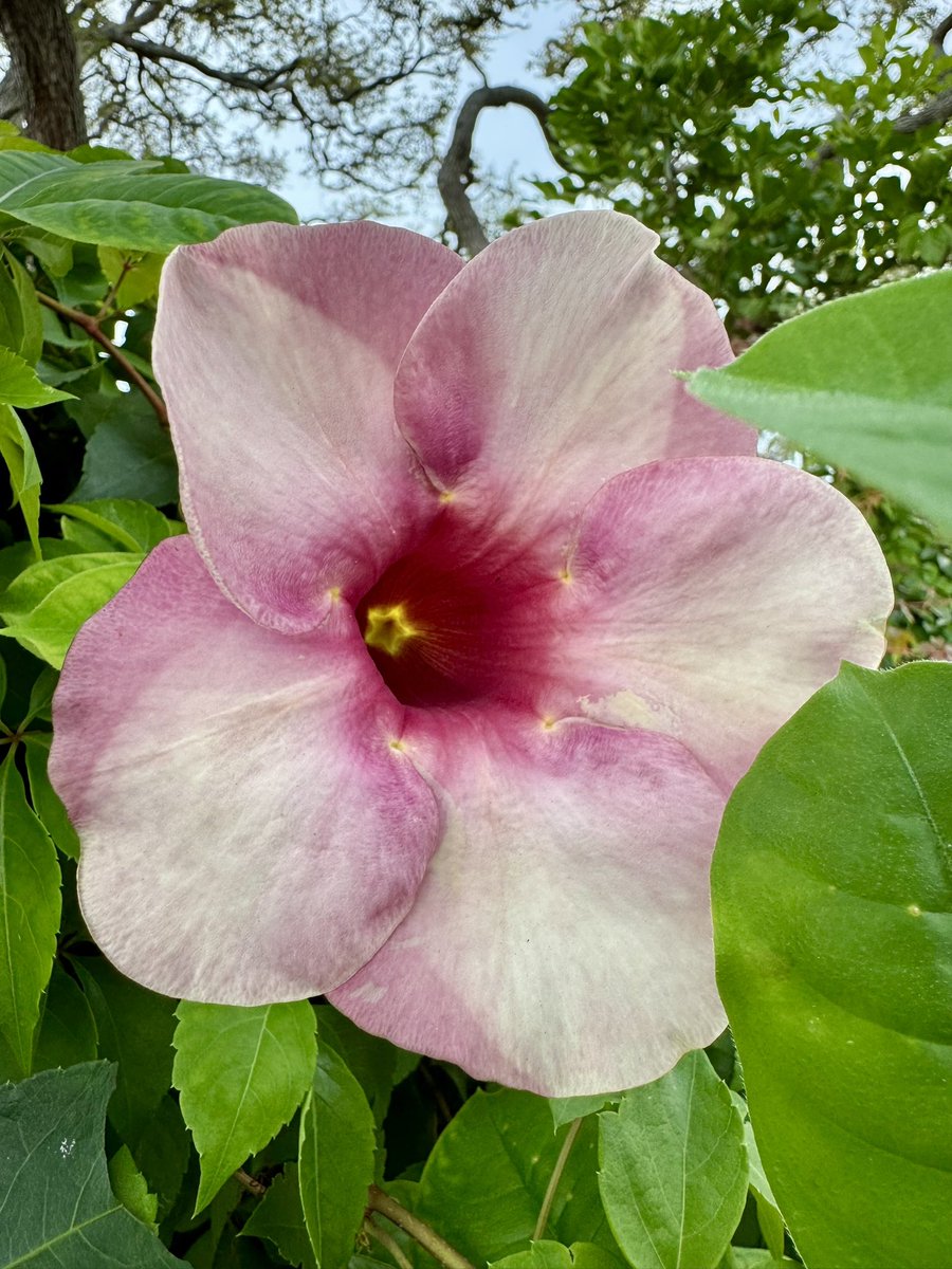 Collabor8tor's tweet image. 