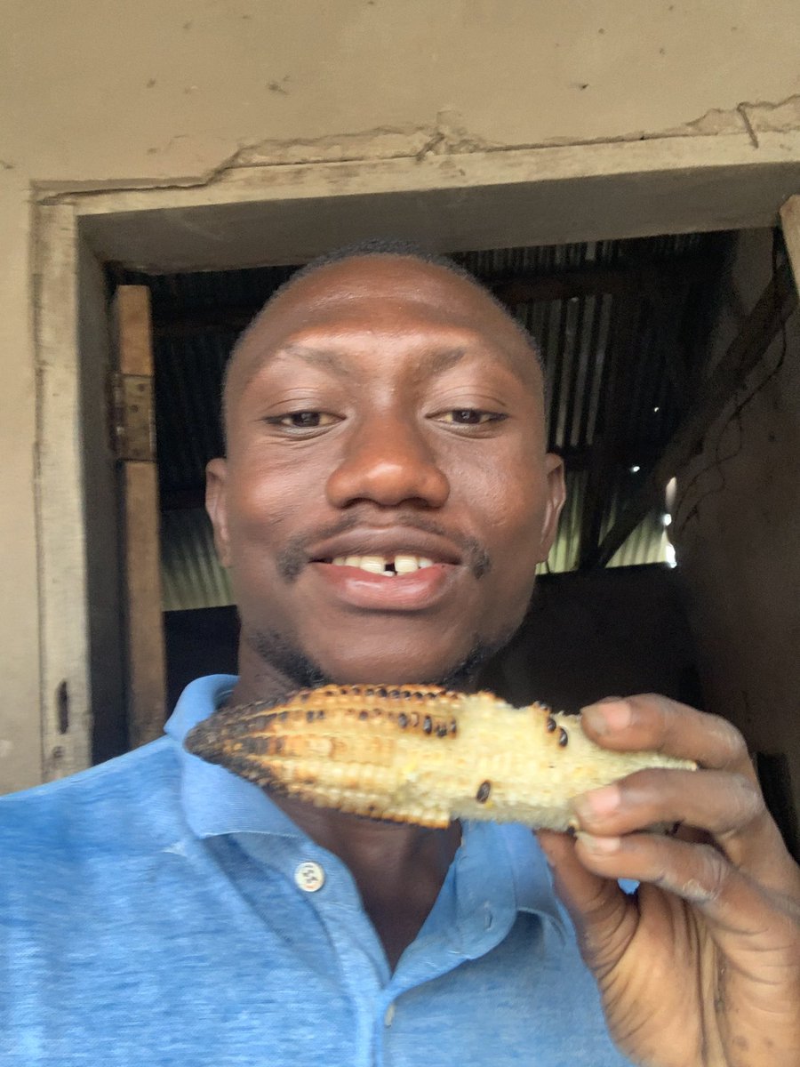 OpeimuTheFarmer's tweet photo. Enjoying roasted corn from my farm🤩

Let’s check some benefits of roasted corn:

🌽 Preserves natural antioxidants like ferulic acid
🌽Enhances flavor
🌽Smoky aroma boosts natural appetite
🌽Has a lower glycemic index
🌽Helps control blood sugar levels
🌽Rich in dietary fiber https://t.co/YbCVkuC4Dj