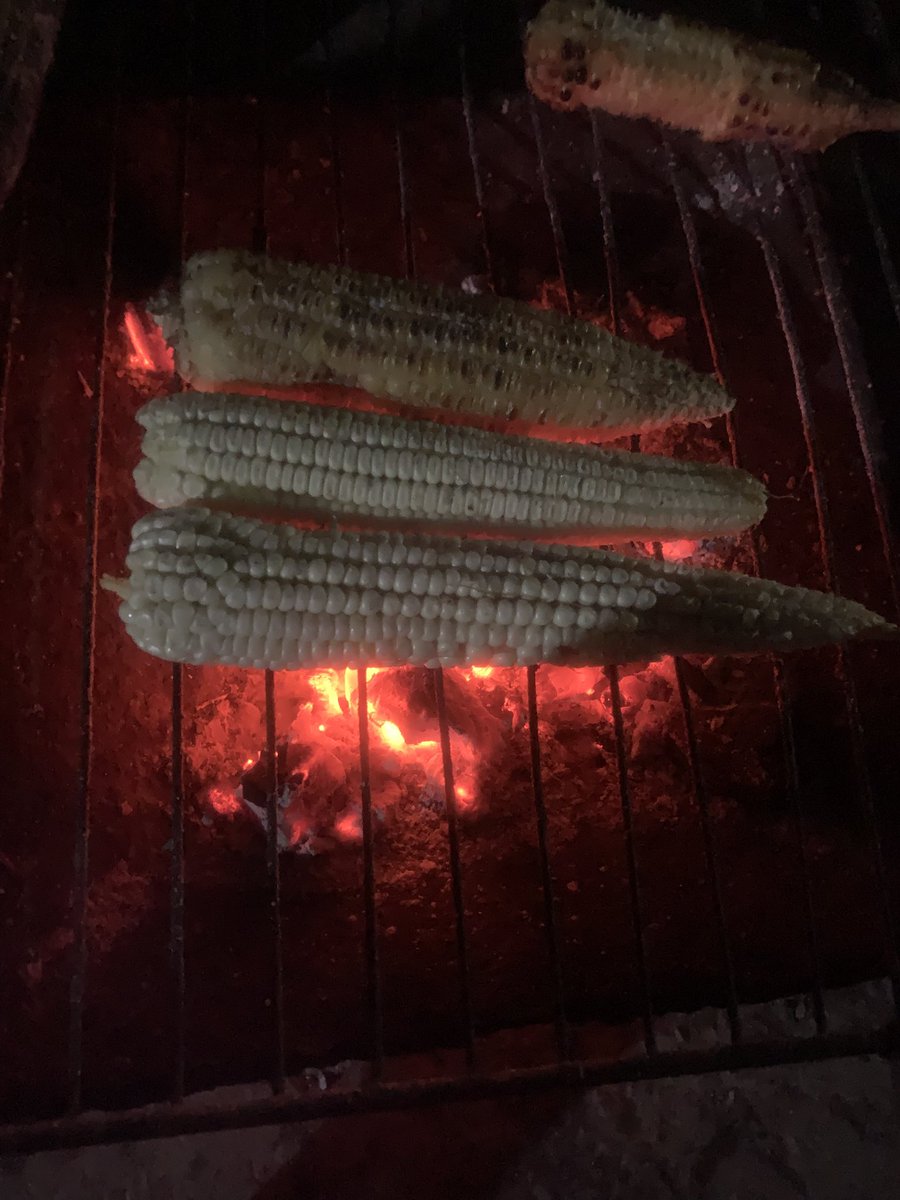 OpeimuTheFarmer's tweet photo. Enjoying roasted corn from my farm🤩

Let’s check some benefits of roasted corn:

🌽 Preserves natural antioxidants like ferulic acid
🌽Enhances flavor
🌽Smoky aroma boosts natural appetite
🌽Has a lower glycemic index
🌽Helps control blood sugar levels
🌽Rich in dietary fiber https://t.co/YbCVkuC4Dj