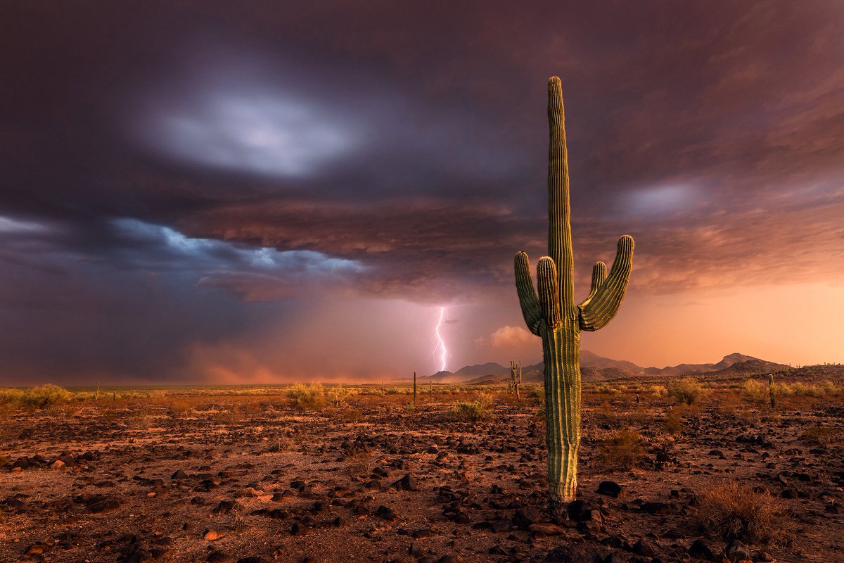SirlinJohn's tweet image. It’s that time of year again! It was nice to dust off the rust and get out for my first monsoon chase of the season. #azwx