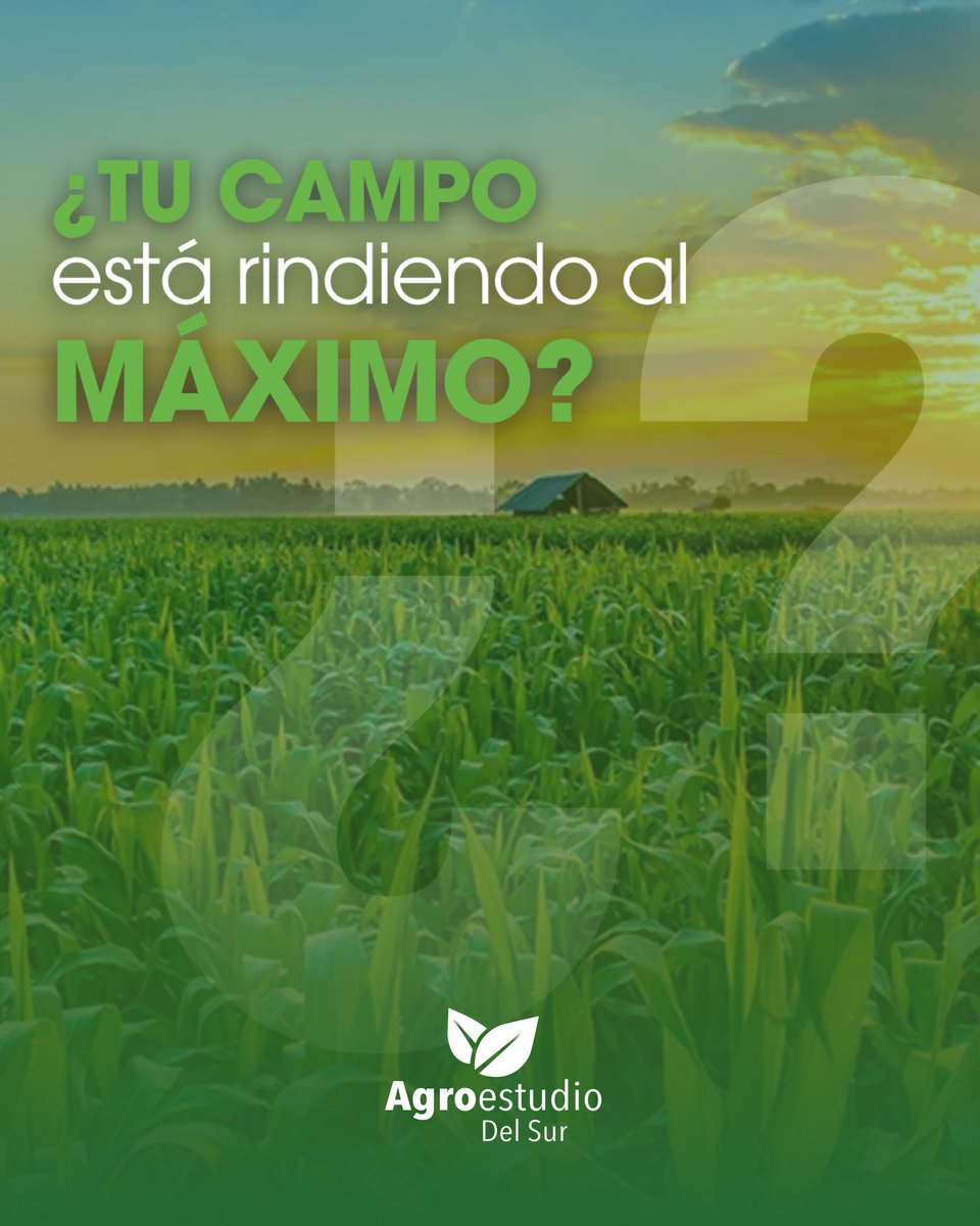 Agroestudiosur's tweet photo. ¿Tu campo está rindiendo al máximo?
A veces, el potencial está… pero hay que saber cómo sacarlo.
Con análisis de suelo, planificación de cultivos, control de costos y decisiones ajustadas, cada hectárea puede dar más. https://t.co/P0hPGo80kE