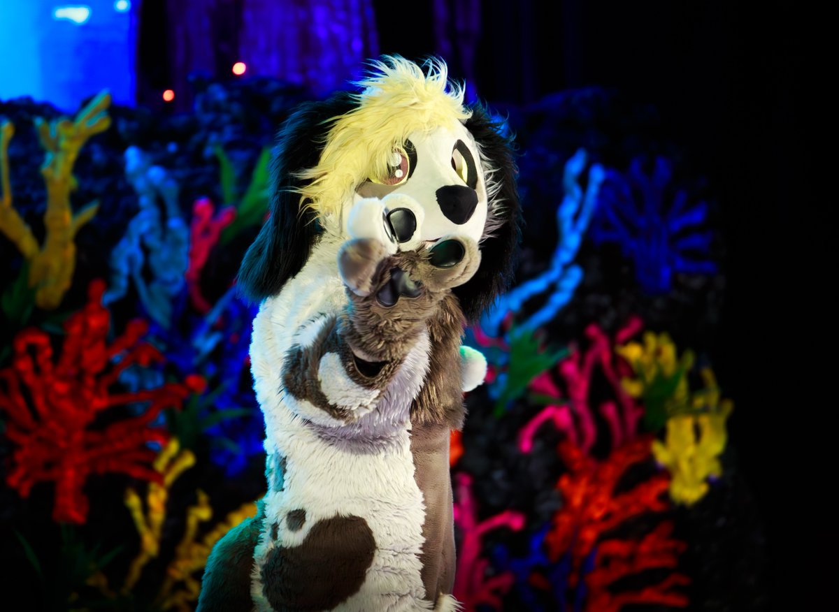 Aurora🔜 AC, FSC, Neko? (@auroratehdragon) on Twitter photo And here are some photos of one of my personal favorite performers of #anthrocon2025, <a href="/downbeatpoodle/">Downbeat the Poodle</a>! This guy killed it at Bewhiskered and returned to show off some awesome moves here at Anthrocon! And here are some photos of one of my personal favorite performers of #anthrocon2025, <a href="/downbeatpoodle/">Downbeat the Poodle</a>! This guy killed it at Bewhiskered and returned to show off some awesome moves here at Anthrocon!