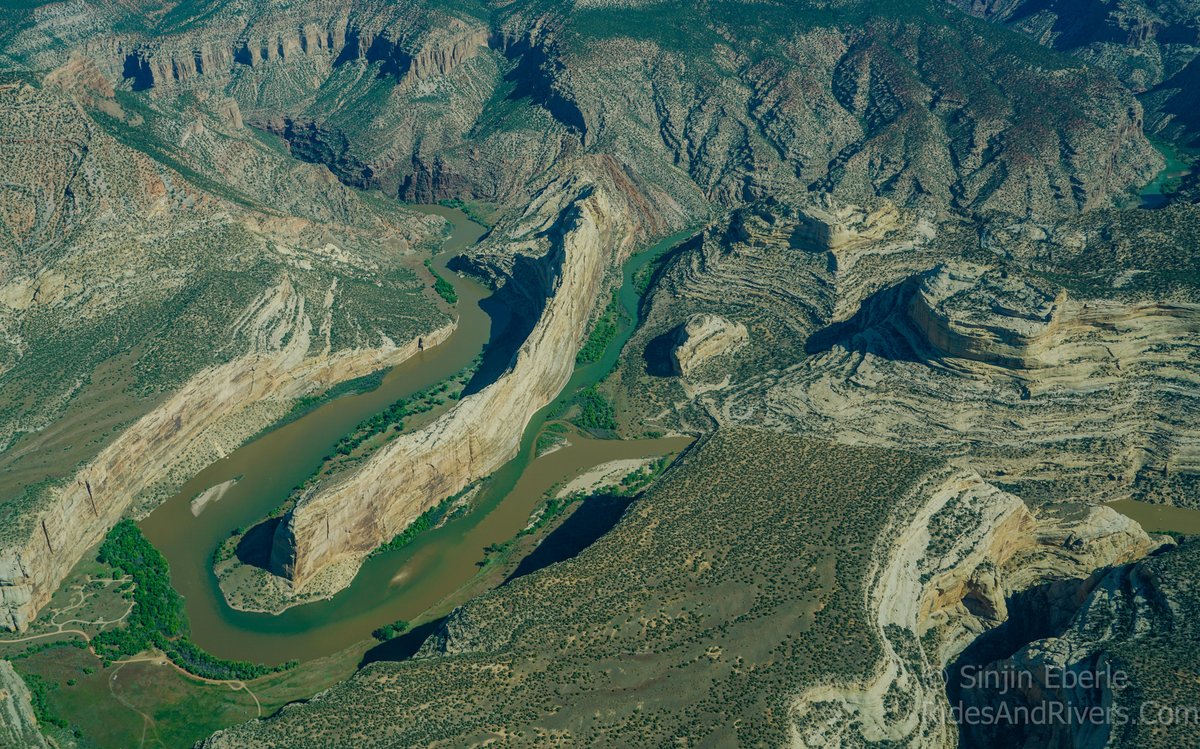 lighthawk_org's tweet image. #TBT to 2017: LightHawk &amp;amp; @MightyYampa flew advocates over the Yampa River to witness its unique floodplains &amp;amp; riparian habitat.

A powerful reminder of what’s at stake—and why this wild river is worth protecting.
📸: Sinjin Eberle
#ConservationInFlight #ProtectWhatMatters