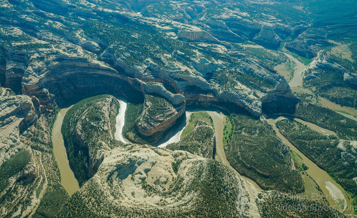 lighthawk_org's tweet image. #TBT to 2017: LightHawk &amp;amp; @MightyYampa flew advocates over the Yampa River to witness its unique floodplains &amp;amp; riparian habitat.

A powerful reminder of what’s at stake—and why this wild river is worth protecting.
📸: Sinjin Eberle
#ConservationInFlight #ProtectWhatMatters