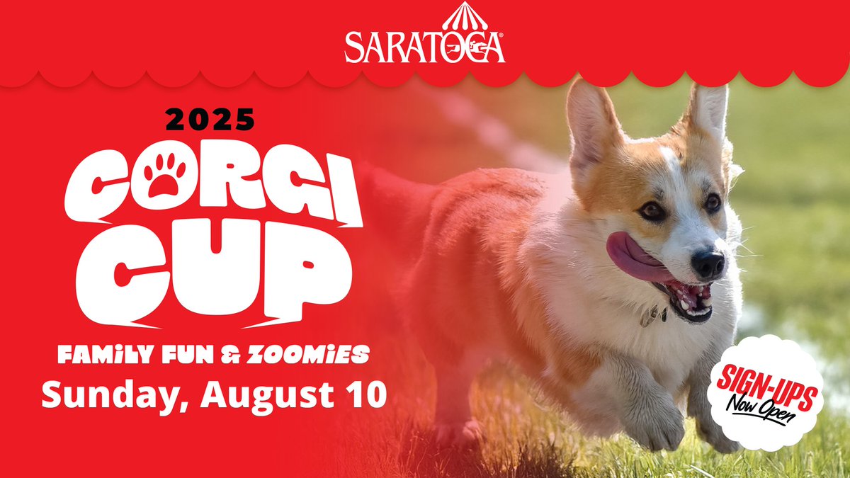 NorcrossUSA's tweet image. It's happening.
Sign-ups: fs2.formsite.com/nyra2016/jwxik…
#CorgiCup