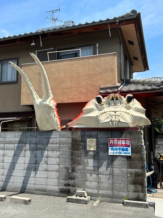 er1enney0ung's tweet image. that one crab that managed to claw his way out of the bucket is now a proud house owner living it up in japan