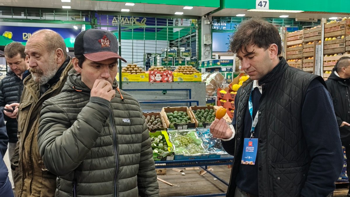 prochile_ar's tweet photo. 🌽🤝 Visita al corazón del comercio local 🍅🇨🇱🇦🇷

En el marco del Encuentro de Negocios Chile–Argentina 2025, las empresas participantes recorrieron el Mercado Central de Buenos Aires

#EncuentroChileArgentina #NegociosConSentido #MercadoCentral #ChileArgentina2025 https://t.co/XVi9sVzIQy