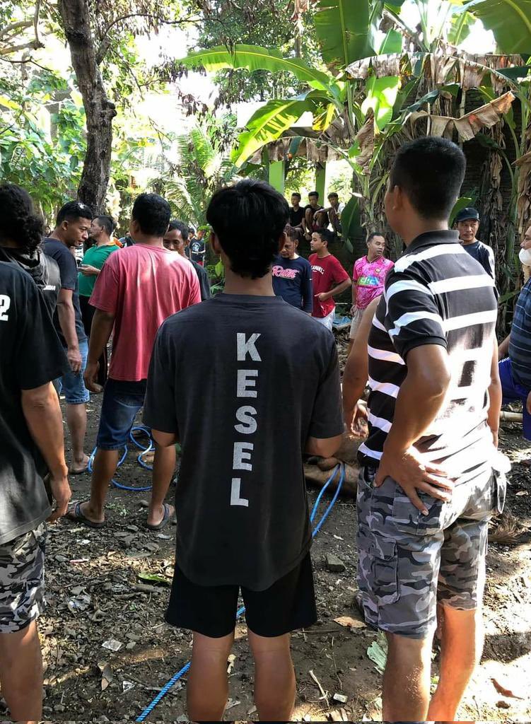 ▁ ▂ ▃ ▄ ▅ ▆ ▇ █ ▉ ▊ (@coffebit) on Twitter photo 