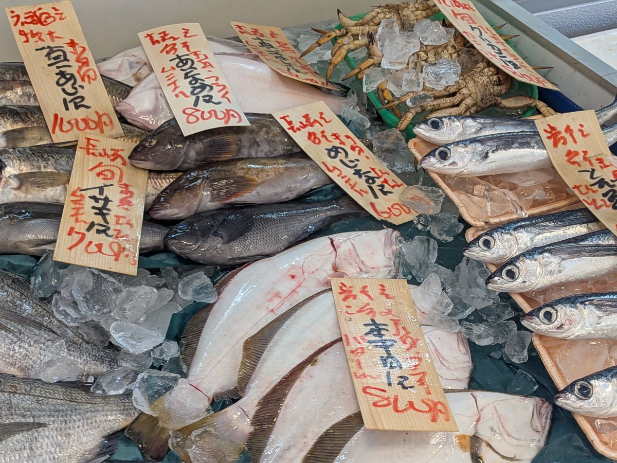 uokeioarai's tweet image. おはようございます、魚結です✨
今日のおすすめは、秋田産天然岩ガキ一つ500円‼️(殻外し致します。)
生食、カキフライ、焼きカキ等で大変美味しい旬の貝です🐚
(お電話でのご注文承っております。)
よろしくお願い致します🙇
#岩ガキ #魚好きと繋がりたい #カキ好きと繋がりたい #大洗