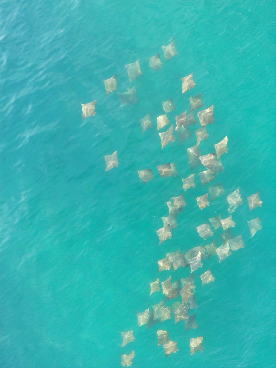 Angra e suas belezas! ❤️