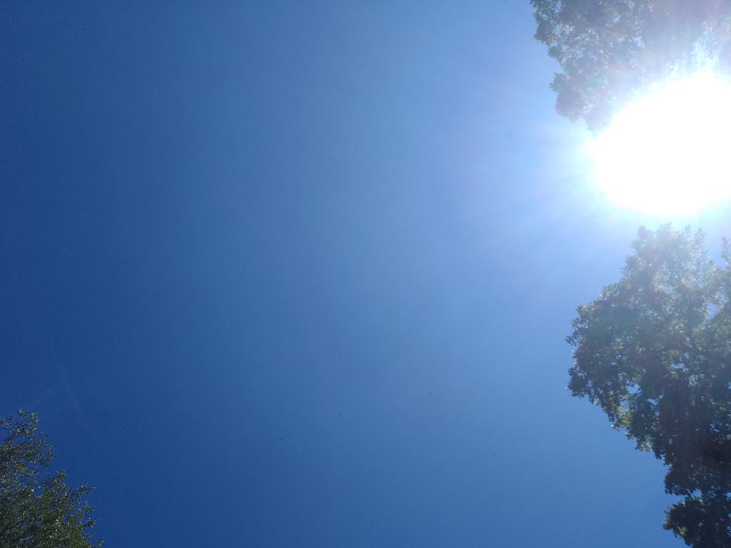 BluXque's tweet image. Ieri ho visto le rondini nel cielo