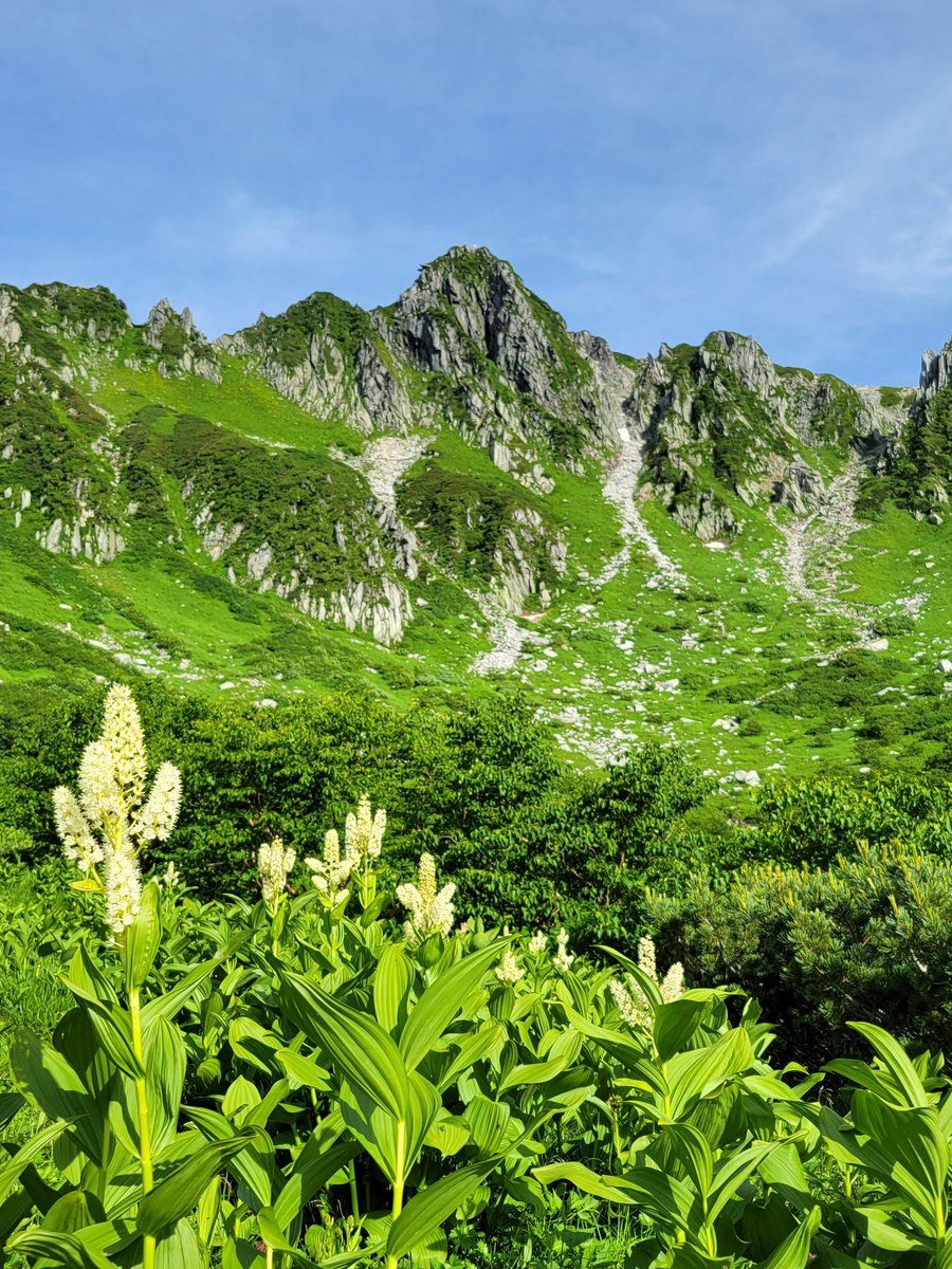 komaganePR's tweet image. おはようございます。
今朝は中の人、 #千畳敷カール に来ています⛰️
気持ちのいい晴れ空です☀
#駒ヶ岳ロープウェイ 、平日にも関わらず始発から大変混雑していました💦
明日からの3連休もかなりの混雑が予想されます。ご迷惑をおかけしますが、ご理解とご協力をお願いいたします🙇