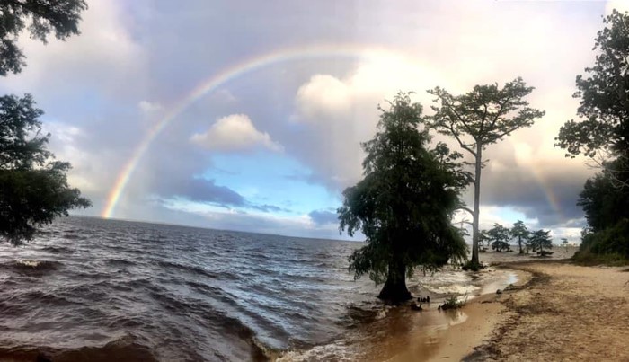 Albemarle-Pamlico NEP tweet media