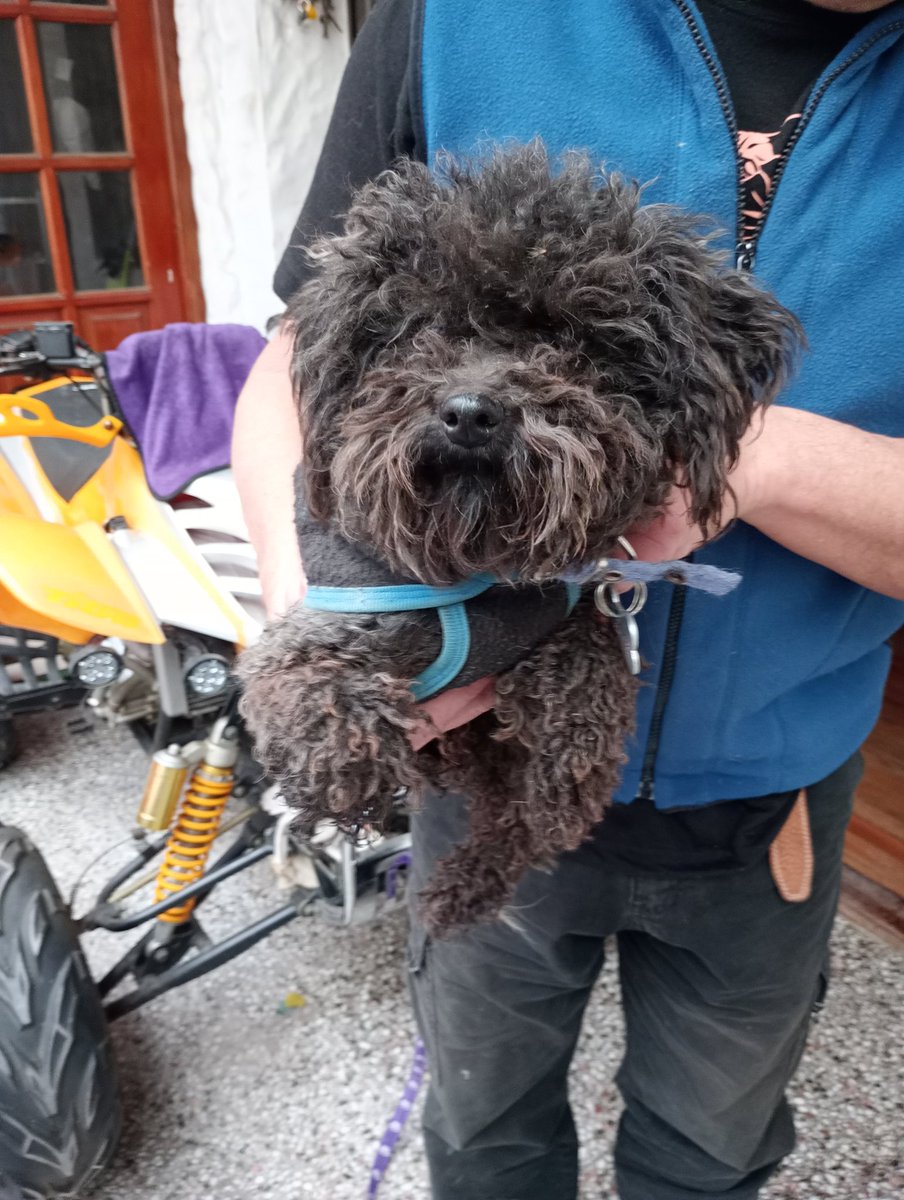 BMA_Berna's tweet photo. se le escapó recien a una chica  en Bufano y Biarritz Villa del Parque si alguien sabe de quién es avise que está en casa!! https://t.co/C2pyF89C29