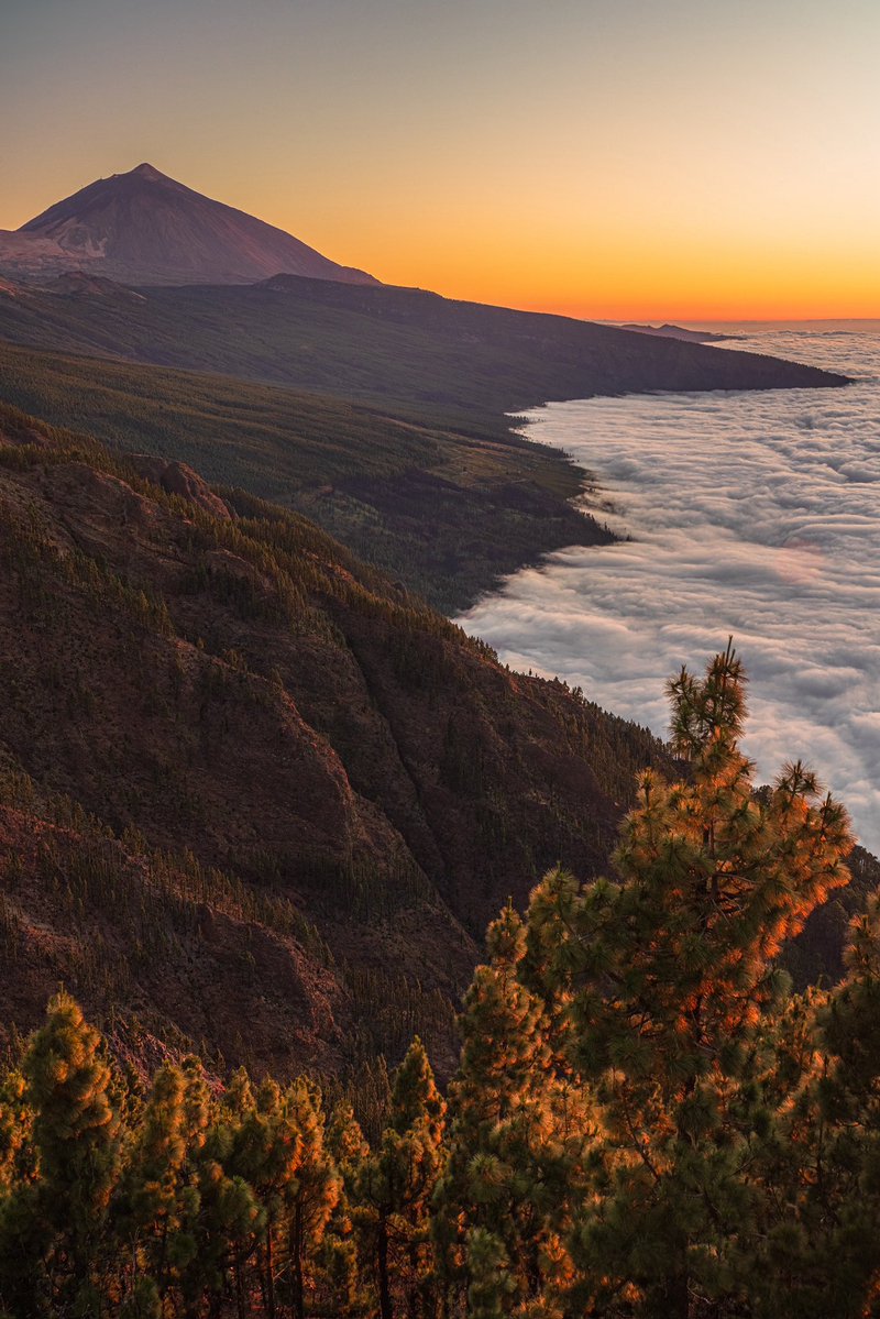 CedricSchell's tweet image. Coucher de soleil à Tenerife
