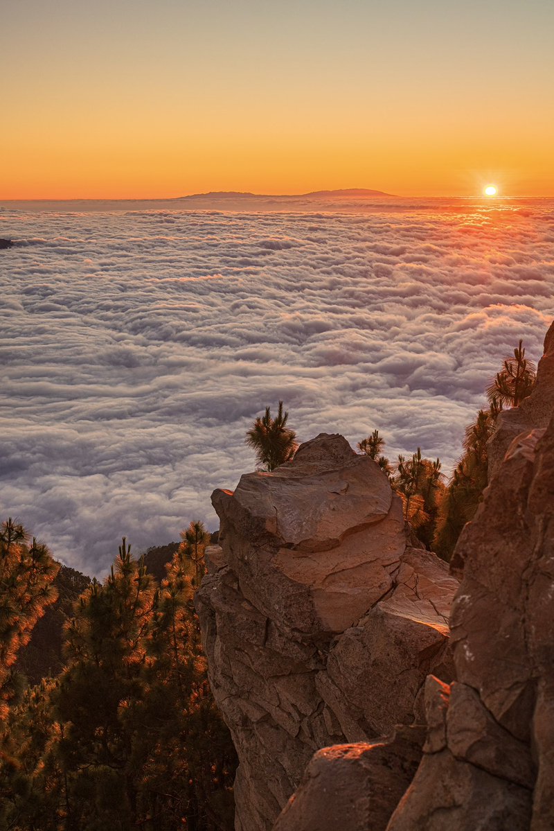 CedricSchell's tweet image. Coucher de soleil à Tenerife