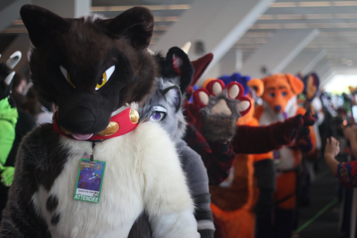 SeireinoSensh's tweet image. Aspen leading the way, does that make him a good boy ?
Who will i see at MP ? Should be able to bring a lot more things and suits if anyone wants to meet or suit swap. Love to try a SpiritPanda, Beauty of the bass, PhoenixNest, Bncreation, kigurumi kagetsu and more (Latex,…