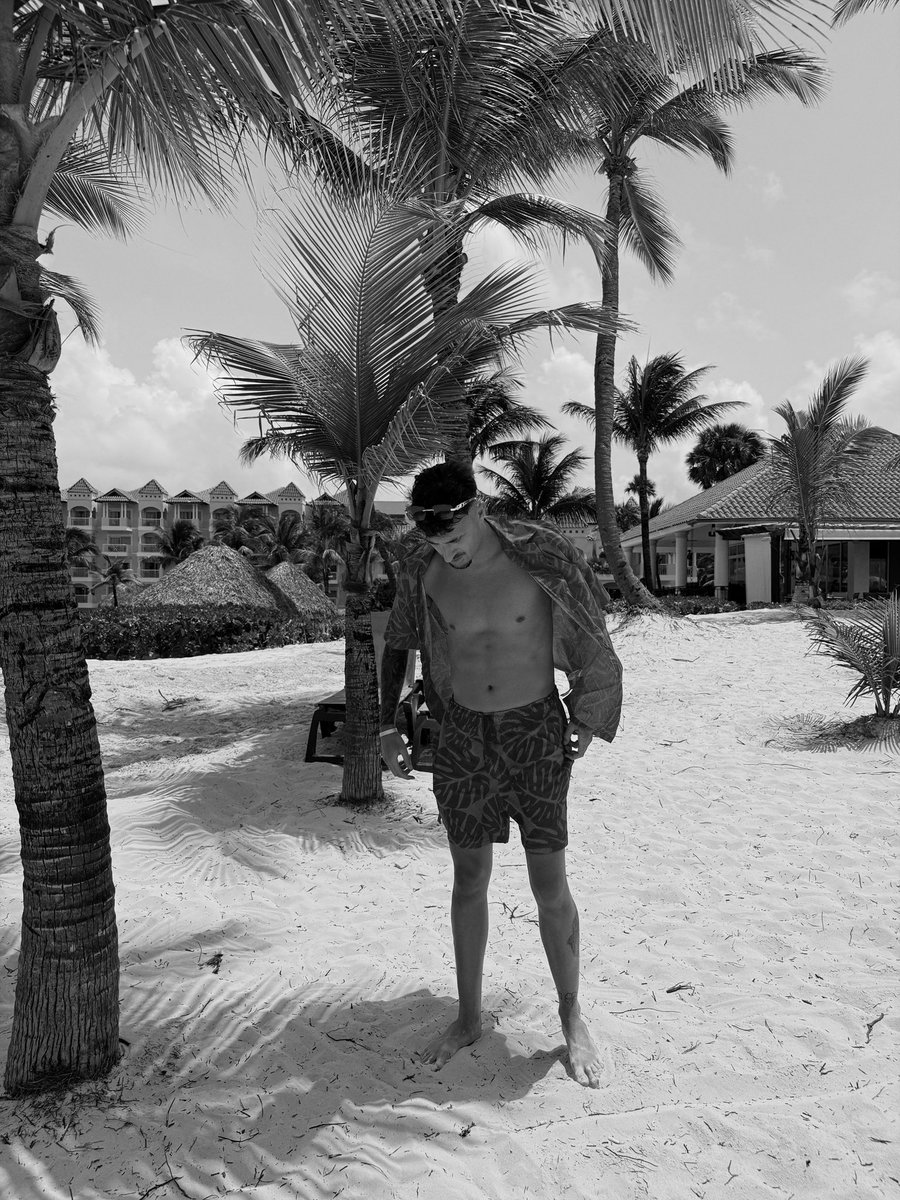 Marcos Alcaide 🐅 tweet media