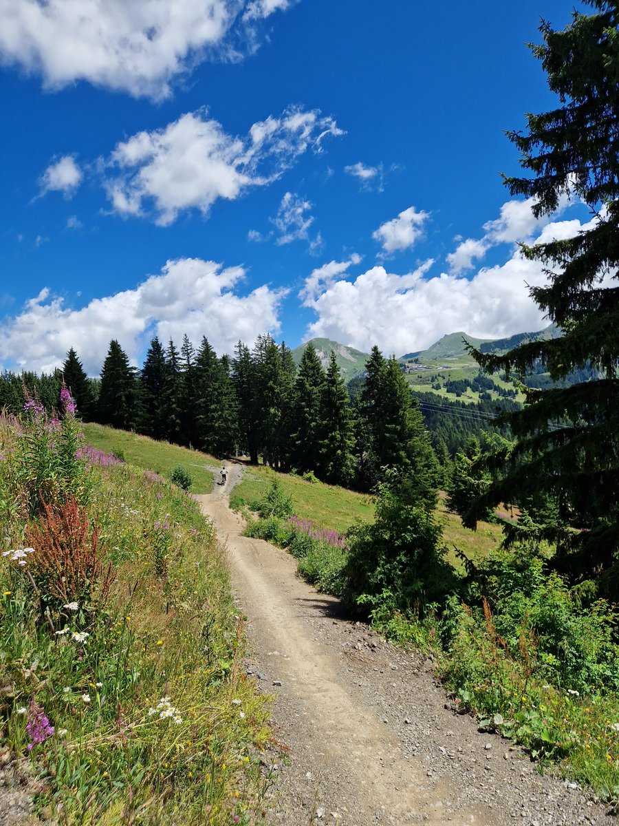 callumjames_EE's tweet image. Rode a grand total of 3 trails today, before calling it & going for a swim in Lac de Montriond