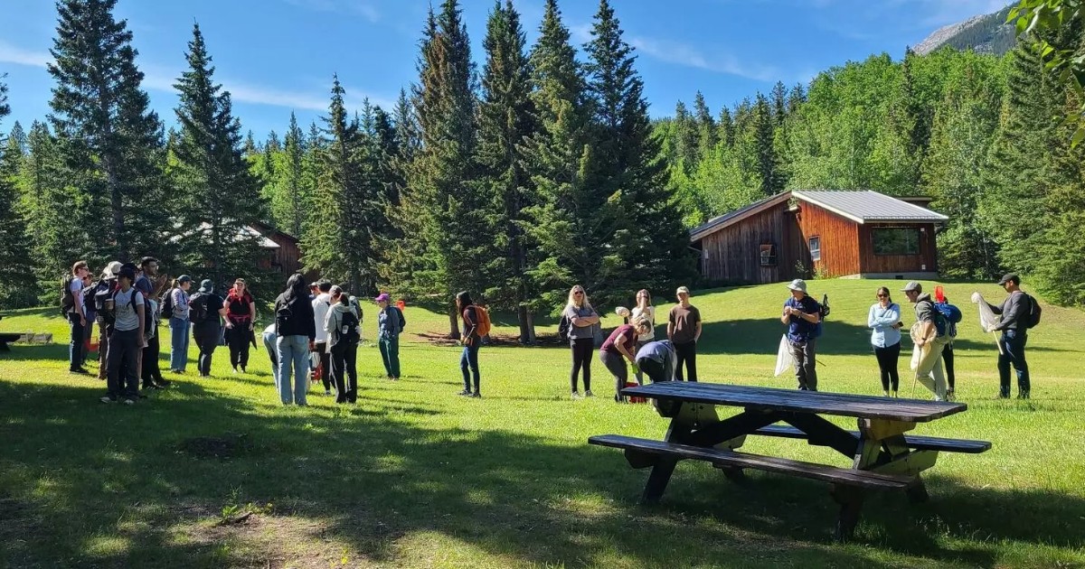 UCalgary's tweet image. Species diversity and community on display at BioBlitz 2025 at #UCalgary’s Barrier Lake Field Station bit.ly/40no5WH
