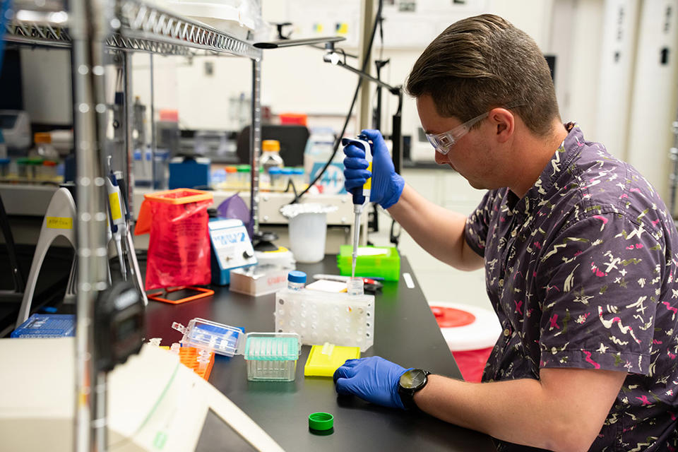 NIST's tweet image. RNA is sometimes called a “messenger” because it can regulate how the genes in our DNA express themselves. Understanding RNA better is vital to creating medical breakthroughs like cancer treatments.
Learn more in our latest blog post: nist.gov/blogs/taking-m…