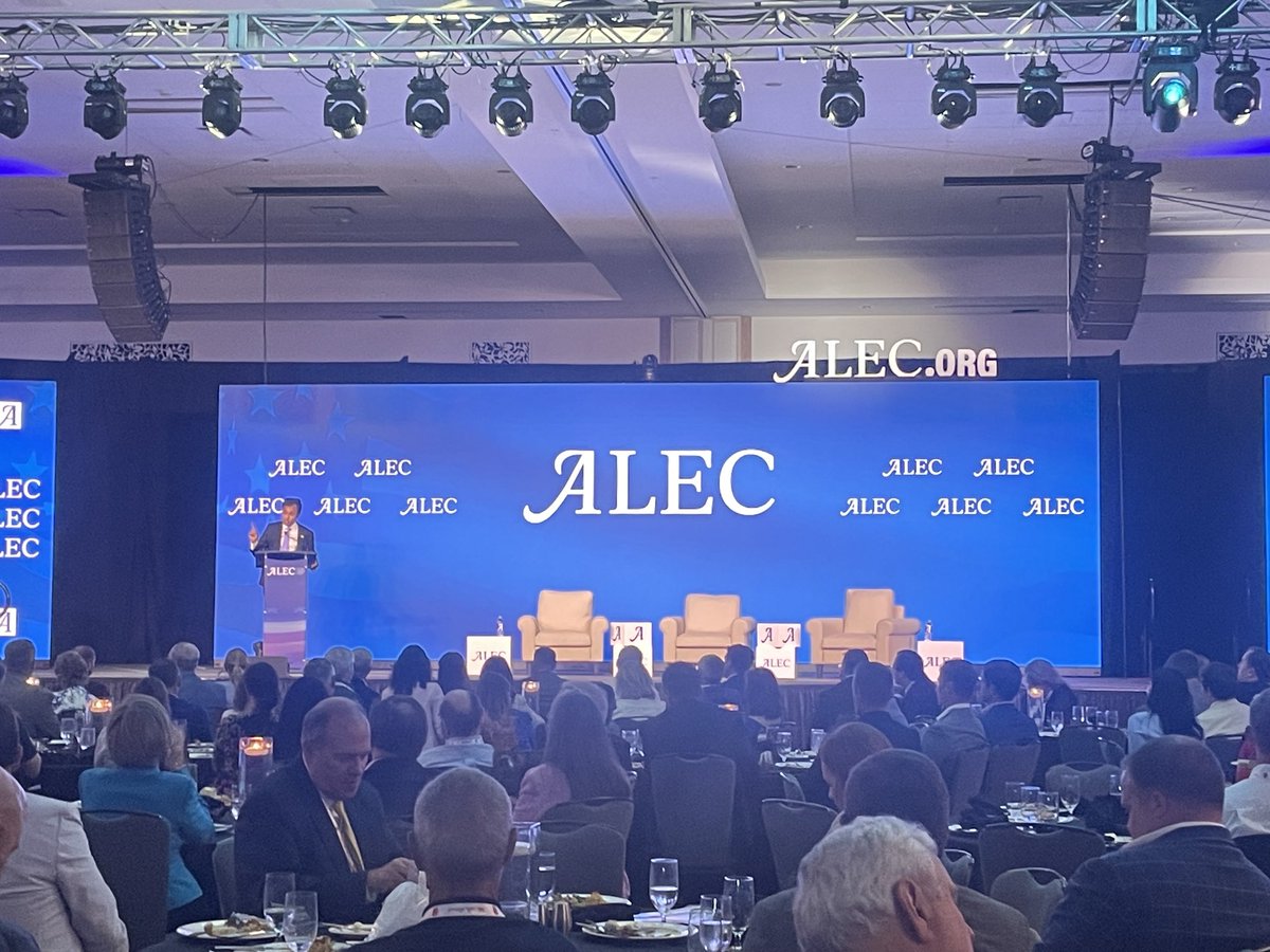 Lori Saine for Freedom tweet media